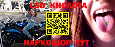 МДПВ Новозыбков