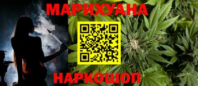 МДПВ Новозыбков