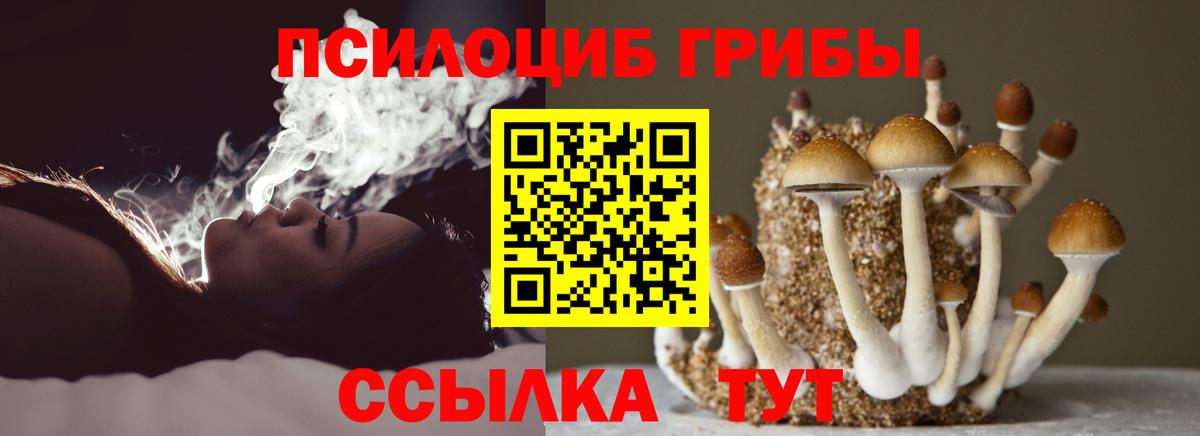 Псилоцибиновые грибы Psilocybe  Галлюциногенные грибы GOLDEN TEACHER  Сыктывкар  Вход с VPN 